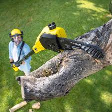 Best Weed Control  in Waterford, CA